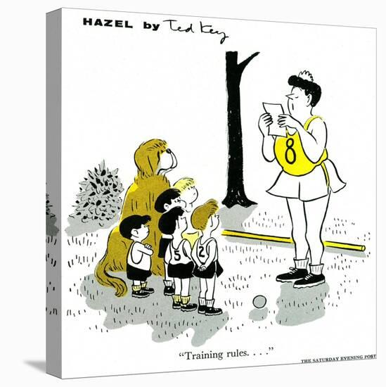 Hazel Cartoon-Ted Key-Stretched Canvas