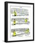 Hazel Cartoon-Ted Key-Framed Giclee Print