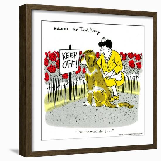 Hazel Cartoon-Ted Key-Framed Giclee Print