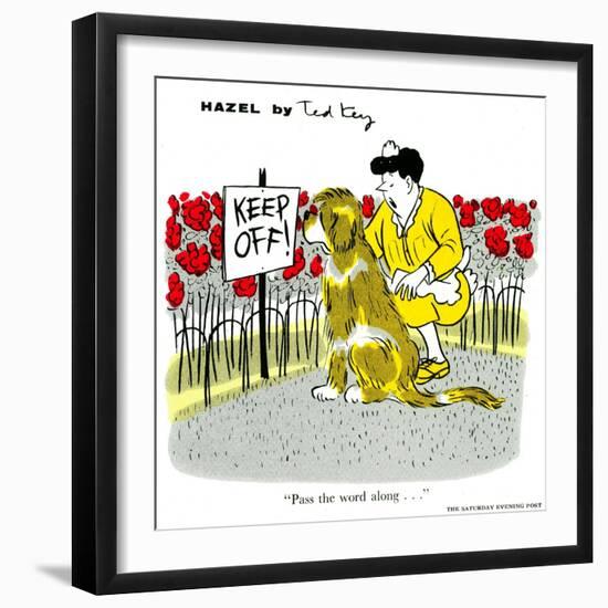 Hazel Cartoon-Ted Key-Framed Giclee Print