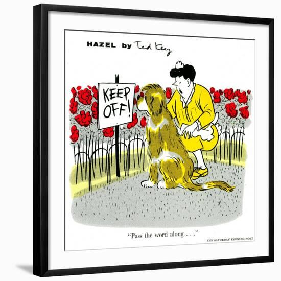 Hazel Cartoon-Ted Key-Framed Giclee Print