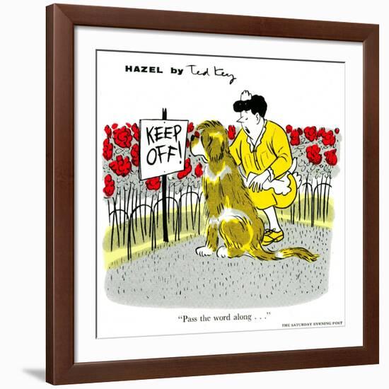 Hazel Cartoon-Ted Key-Framed Giclee Print