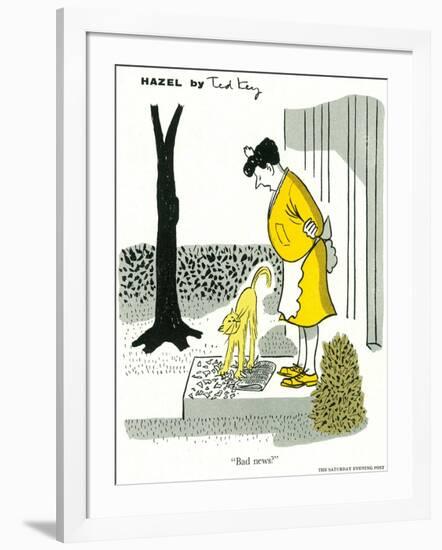 Hazel Cartoon-Ted Key-Framed Giclee Print