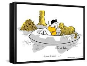 Hazel Cartoon-Ted Key-Framed Stretched Canvas