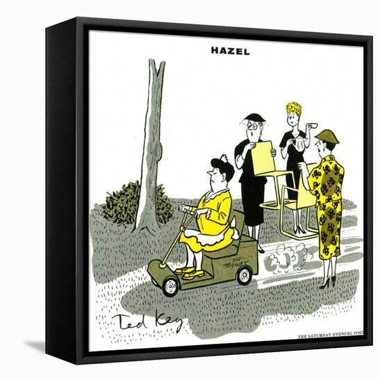 Hazel Cartoon-Ted Key-Framed Stretched Canvas