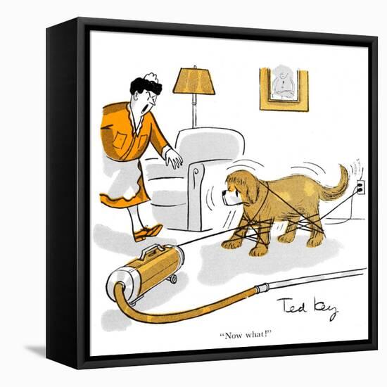 Hazel Cartoon-Ted Key-Framed Stretched Canvas