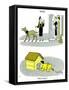 Hazel Cartoon-Ted Key-Framed Stretched Canvas