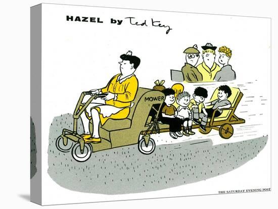 Hazel Cartoon-Ted Key-Stretched Canvas