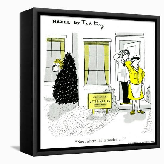 Hazel Cartoon-Ted Key-Framed Stretched Canvas