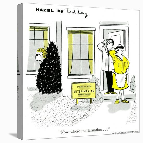 Hazel Cartoon-Ted Key-Stretched Canvas