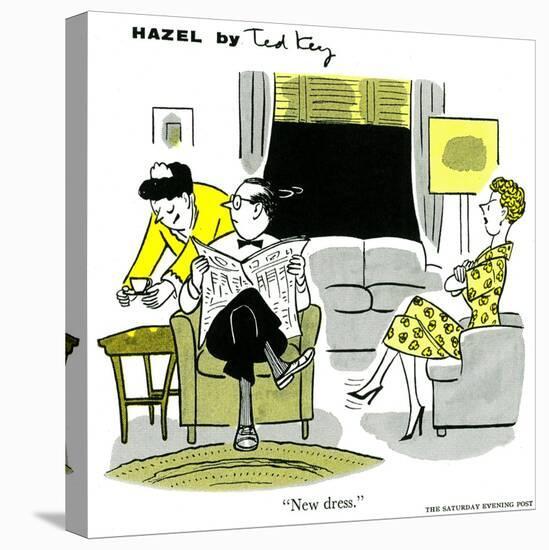 Hazel Cartoon-Ted Key-Stretched Canvas