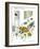 Hazel Cartoon-Ted Key-Framed Giclee Print