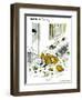 Hazel Cartoon-Ted Key-Framed Giclee Print