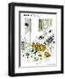 Hazel Cartoon-Ted Key-Framed Giclee Print