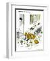 Hazel Cartoon-Ted Key-Framed Giclee Print