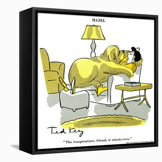 Hazel Cartoon-Ted Key-Framed Stretched Canvas