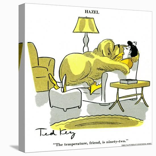 Hazel Cartoon-Ted Key-Stretched Canvas