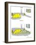 Hazel Cartoon-Ted Key-Framed Giclee Print