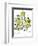 Hazel Cartoon-Ted Key-Framed Giclee Print