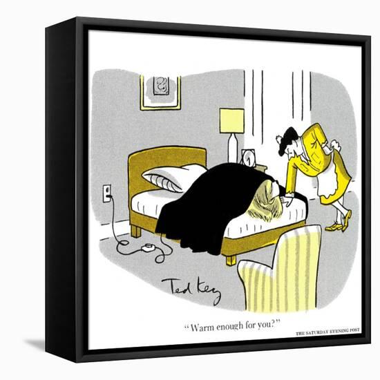 Hazel Cartoon-Ted Key-Framed Stretched Canvas