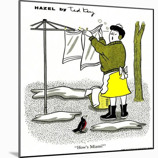 Hazel Cartoon-Ted Key-Mounted Giclee Print