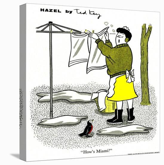 Hazel Cartoon-Ted Key-Stretched Canvas