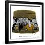 Hazel Cartoon-Ted Key-Framed Giclee Print