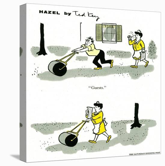 Hazel Cartoon-Ted Key-Stretched Canvas