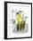 Hazel Cartoon-Ted Key-Framed Giclee Print