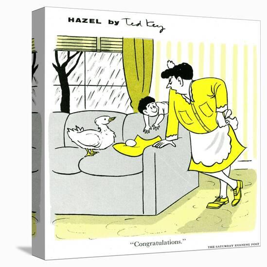 Hazel Cartoon-Ted Key-Stretched Canvas