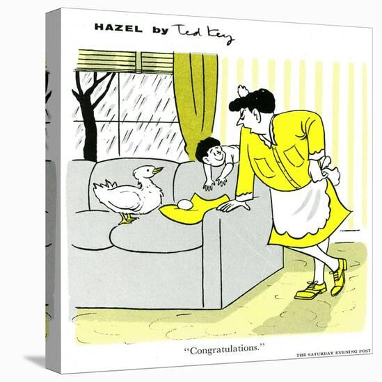 Hazel Cartoon-Ted Key-Stretched Canvas