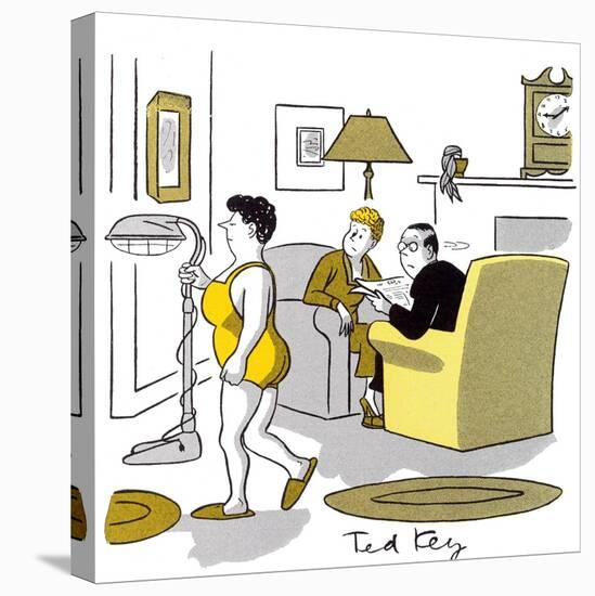 Hazel Cartoon-Ted Key-Stretched Canvas