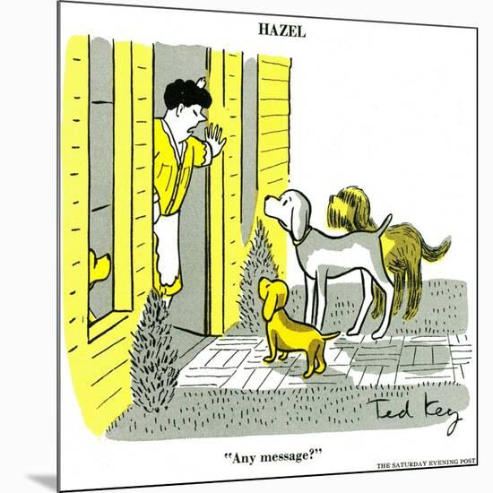 Hazel Cartoon-Ted Key-Mounted Giclee Print