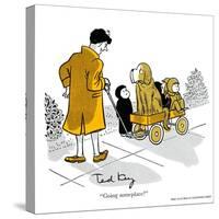 Hazel Cartoon-Ted Key-Stretched Canvas