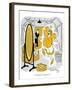 Hazel Cartoon-Ted Key-Framed Giclee Print