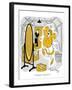 Hazel Cartoon-Ted Key-Framed Giclee Print