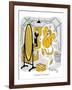 Hazel Cartoon-Ted Key-Framed Giclee Print