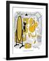 Hazel Cartoon-Ted Key-Framed Giclee Print