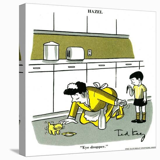 Hazel Cartoon-Ted Key-Stretched Canvas