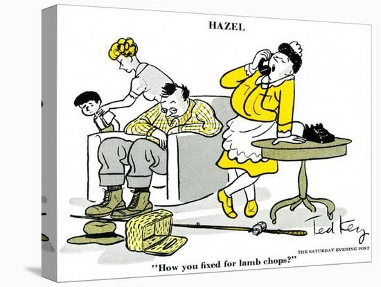 Hazel Cartoon-Ted Key-Stretched Canvas