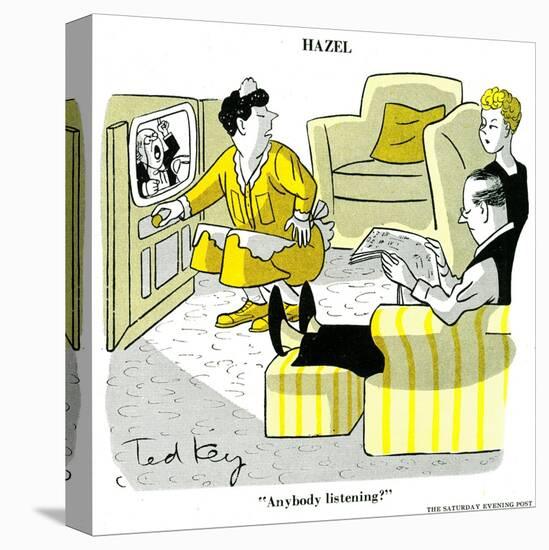 Hazel Cartoon-Ted Key-Stretched Canvas