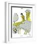 Hazel Cartoon-Ted Key-Framed Premium Giclee Print