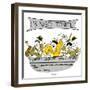 Hazel Cartoon-Ted Key-Framed Giclee Print