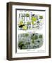 Hazel Cartoon-Ted Key-Framed Giclee Print