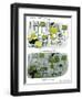 Hazel Cartoon-Ted Key-Framed Giclee Print