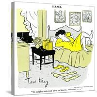 Hazel Cartoon-Ted Key-Stretched Canvas