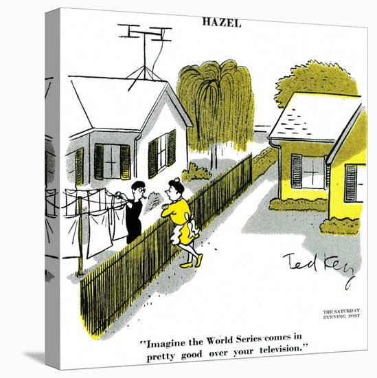 Hazel Cartoon-Ted Key-Stretched Canvas