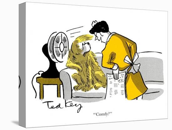 Hazel Cartoon-Ted Key-Stretched Canvas