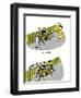 Hazel Cartoon-Ted Key-Framed Giclee Print