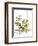 Hazel Cartoon-Ted Key-Framed Giclee Print